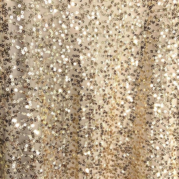 Sparkly Sequin Tank Top Short Sleeve Holiday Party Dress - Picture 3 of 5